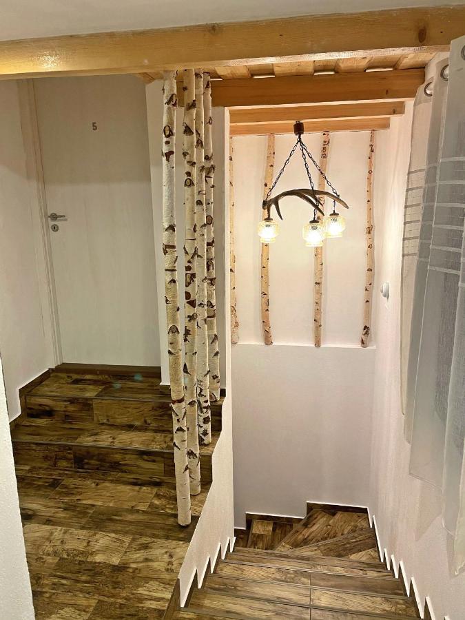 Cabana Din Groapa Frumoasa Rîşnov エクステリア 写真
